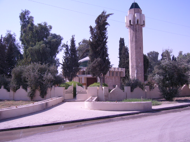 p1000173.jpg